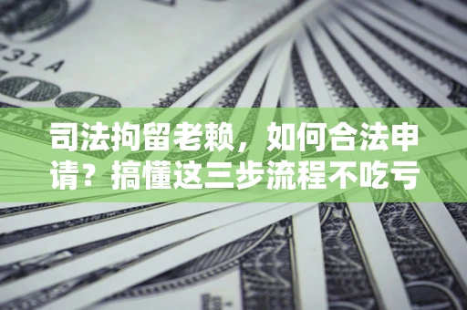 武汉司法拘留老赖，如何合法申请？搞懂这三步流程不吃亏！