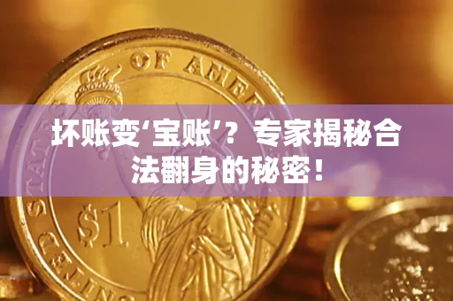武汉坏账变‘宝账’？专家揭秘合法翻身的秘密！