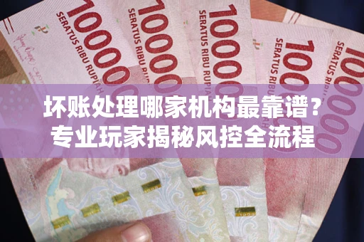 武汉坏账处理哪家机构最靠谱？专业玩家揭秘风控全流程
