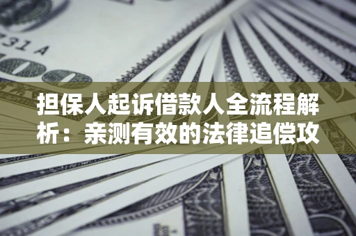 武汉担保人起诉借款人全流程解析：亲测有效的法律追偿攻略