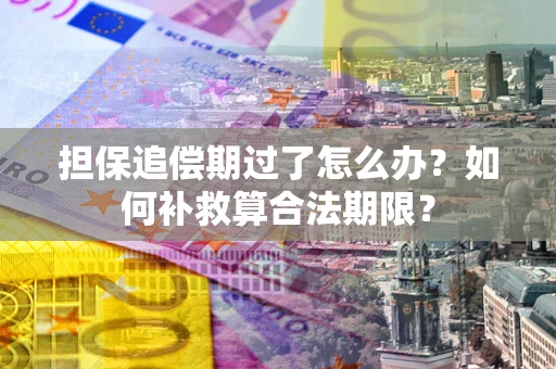 武汉担保追偿期过了怎么办？如何补救算合法期限？