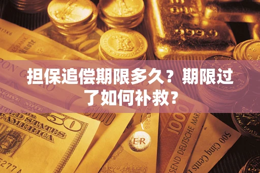 武汉担保追偿期限多久？期限过了如何补救？