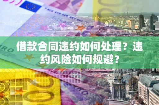 武汉借款合同违约如何处理？违约风险如何规避？