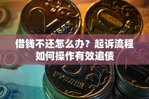 武汉借钱不还怎么办？起诉流程如何操作有效追债