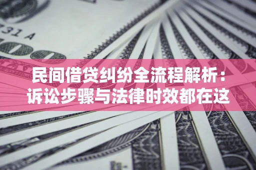 武汉民间借贷纠纷全流程解析：诉讼步骤与法律时效都在这儿了