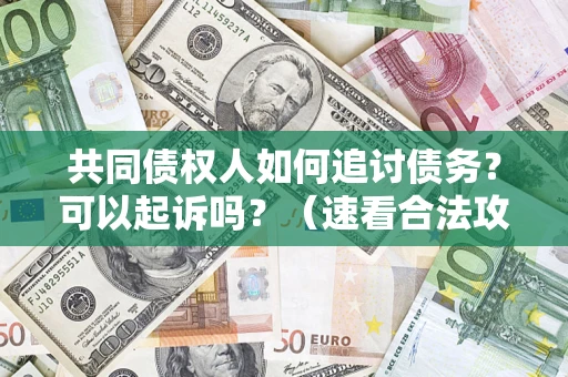 武汉共同债权人如何追讨债务？可以起诉吗？（速看合法攻略）