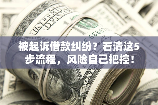 武汉被起诉借款纠纷？看清这5步流程，风险自己把控！